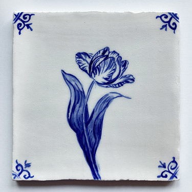 Tulp